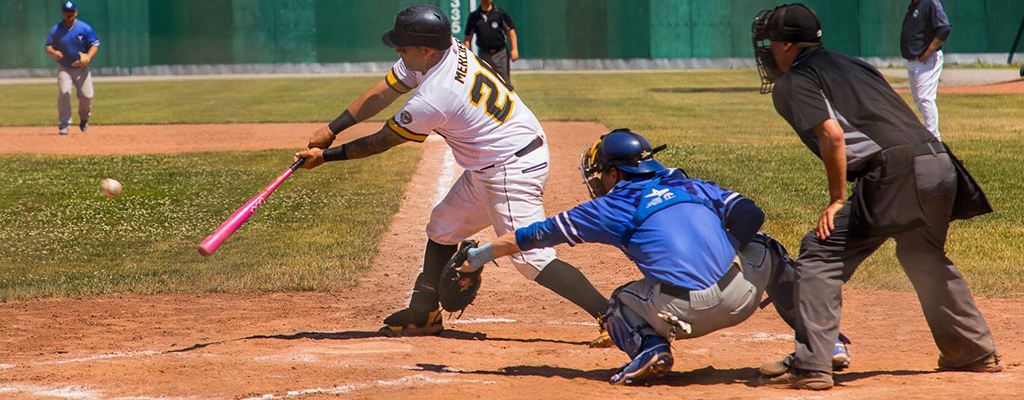 image of welland jackfish game