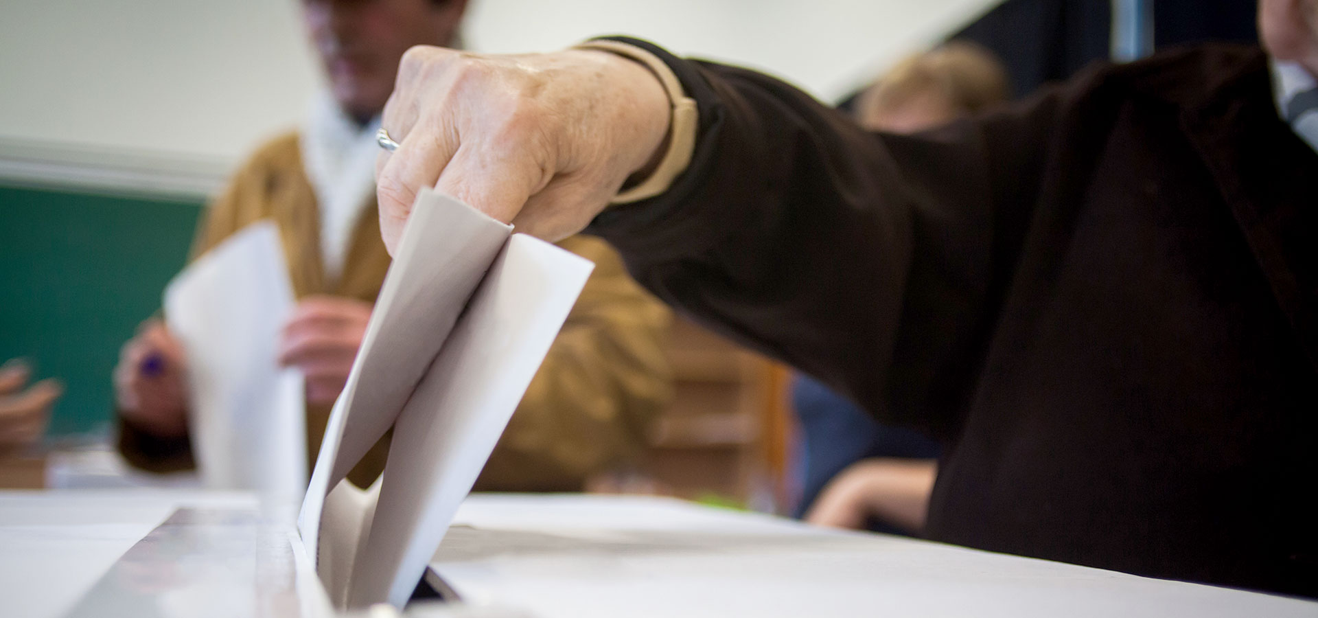 image of a person voting 