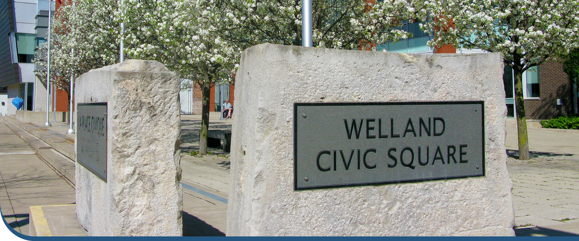 image of a person voting