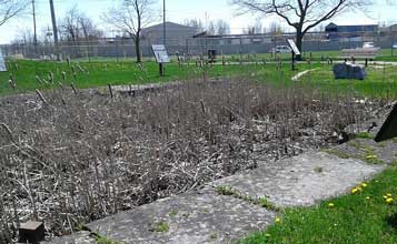 Welland Feeder Canal Junction Lock 