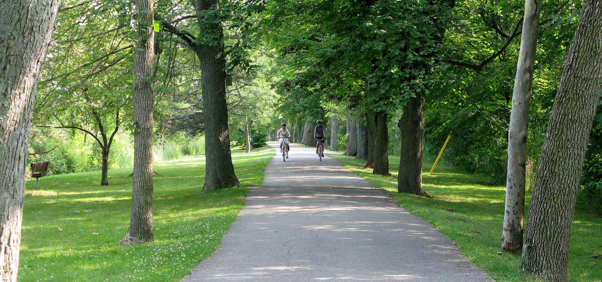 image of path for walking