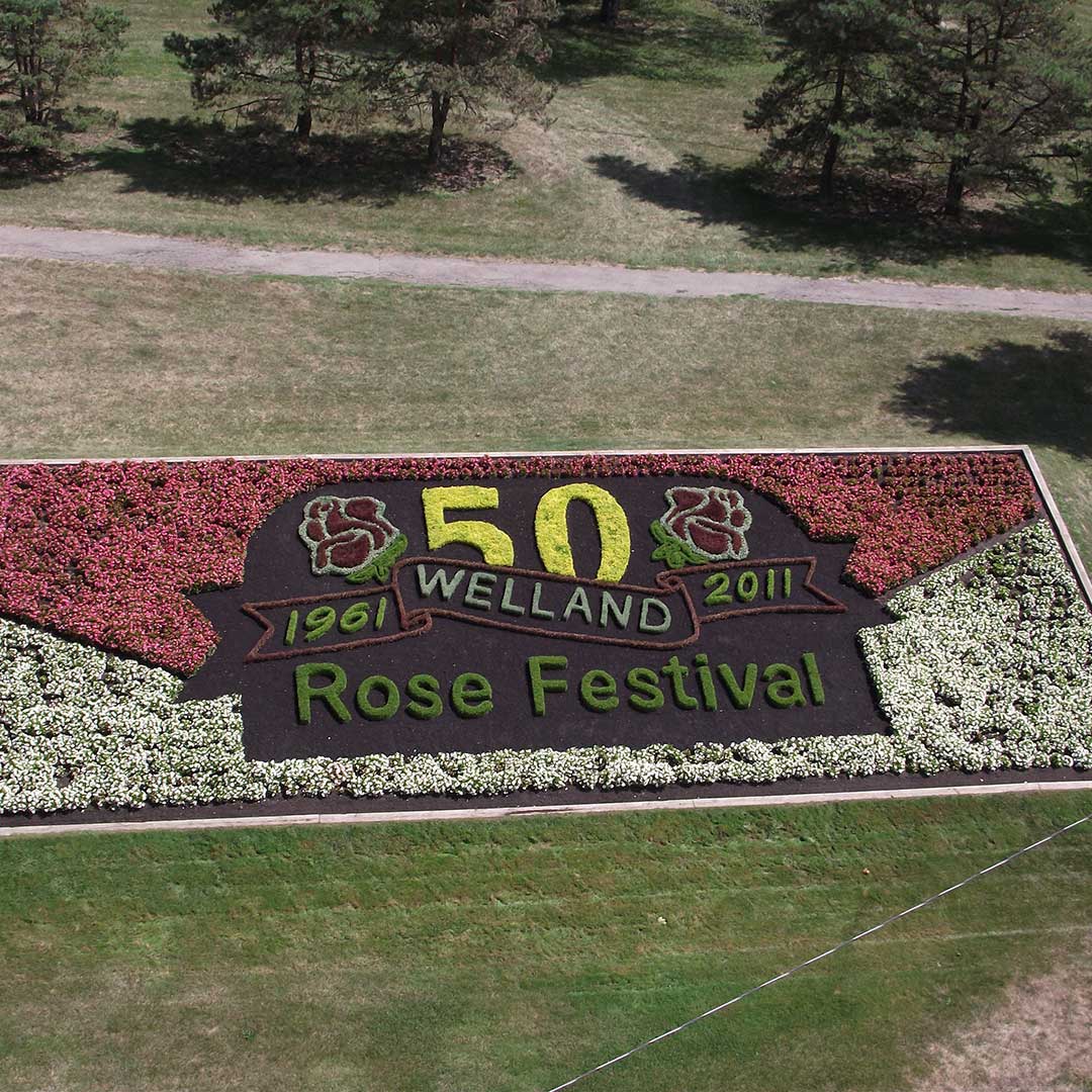 image of Rose festival floral display