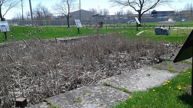 image of the Feeder Canal Junction lock