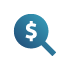 icon of a magnifying glass and a dollar sign