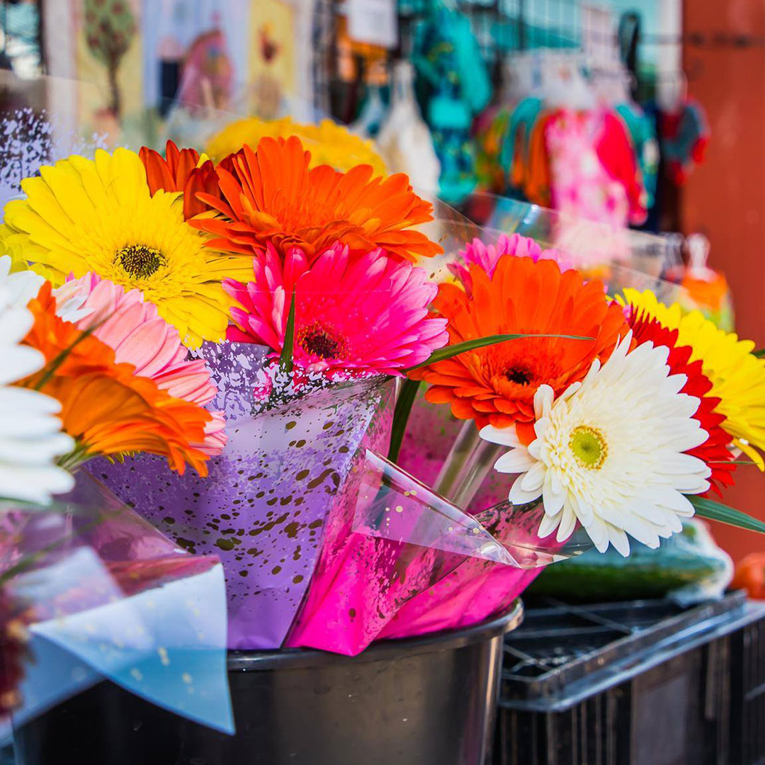 fresh flowers