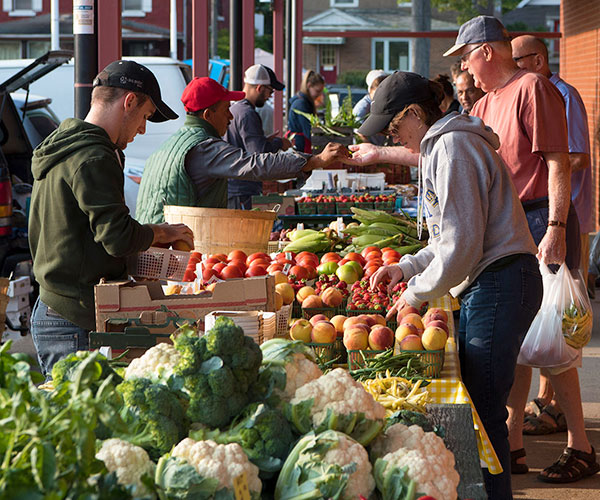 image of market vendors and customers