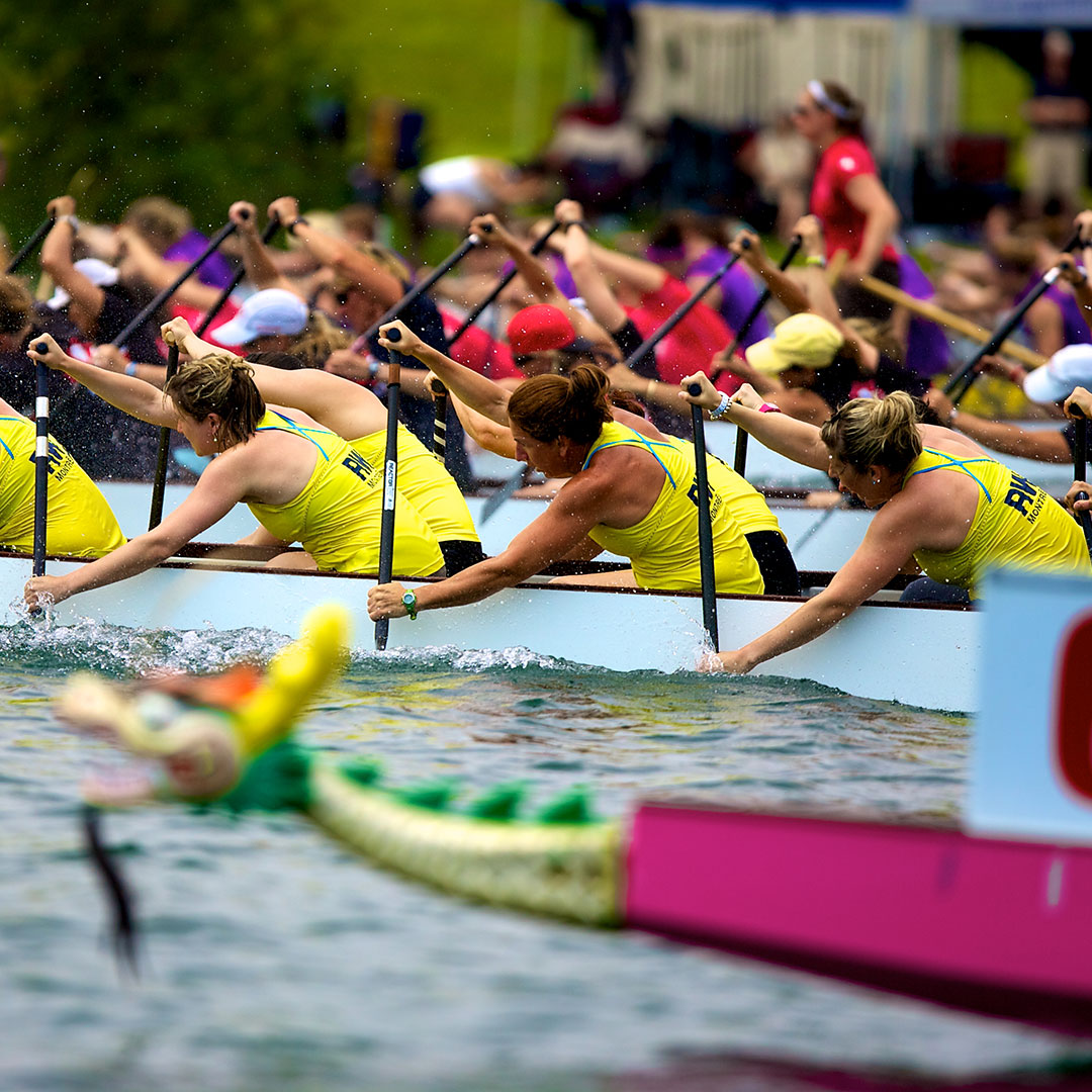 image of dragon boaters